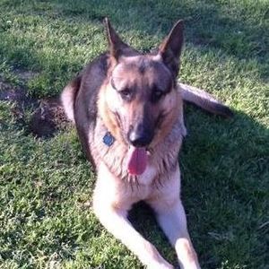 Meet your Posher, Rafael